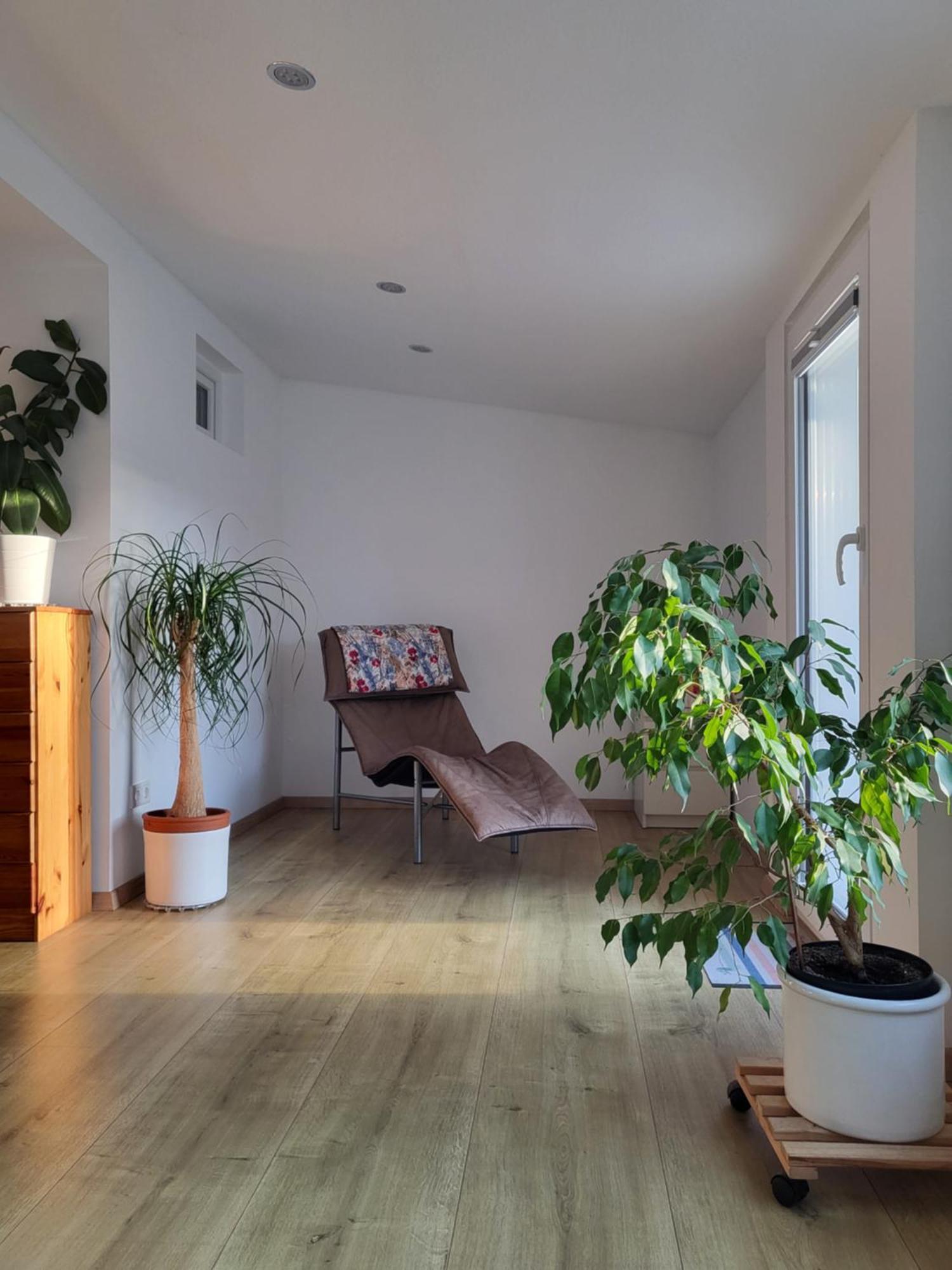 Bungalow In Messenaehe Hannover Exteriér fotografie